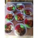 Bubur Campiun